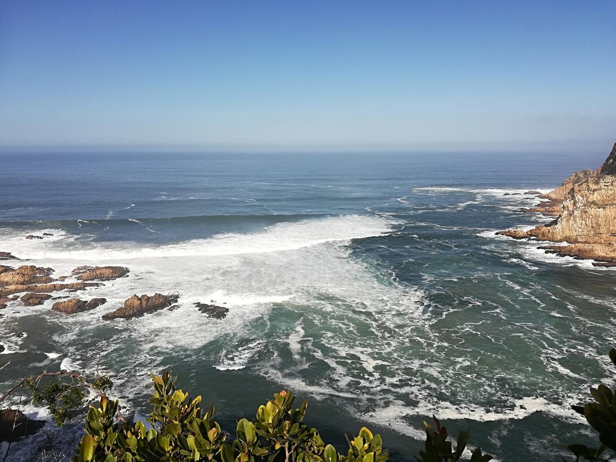 Knysna Herons Guest House Εξωτερικό φωτογραφία