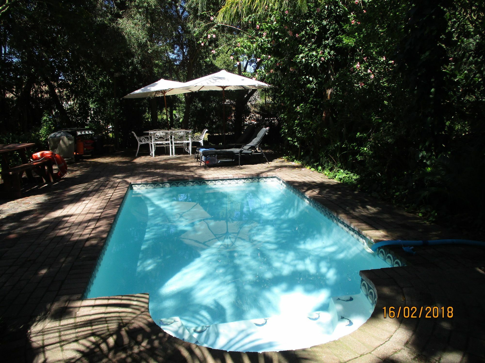 Knysna Herons Guest House Εξωτερικό φωτογραφία